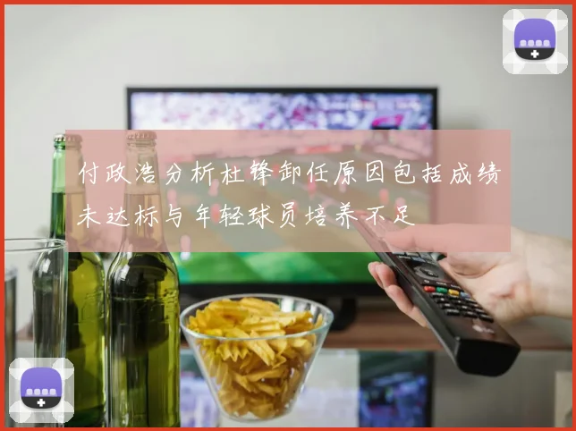 付政浩分析杜锋卸任原因包括成绩未达标与年轻球员培养不足