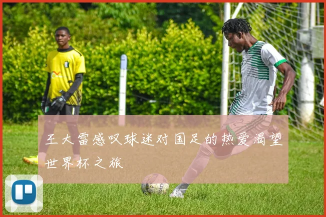 王大雷感叹球迷对国足的热爱渴望世界杯之旅