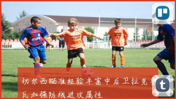 切尔西瞄准经验丰富中后卫拉克鲁瓦加强防线进攻属性